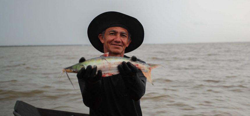 Entre 18 e 31 de julho, acontece, em Santo Antônio do Içá e São Paulo de Olivença (respectivamente, a 880 e 985 quilômetros de Manaus), dois mutirões de crédito rural para pescadores artesanais. À frente das ações está o Governo do Amazonas, por meio do Instituto e Desenvolvimento Agropecuário e Florestal Sustentável do Estado do Amazonas (Idam) e da Agência de Fomento do Estado do Amazonas (Afeam).